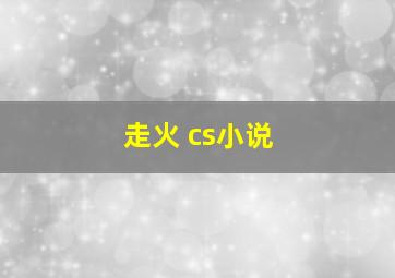 走火 cs小说